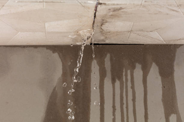 Professional Sewage Cleanup technician working in Chana, IL